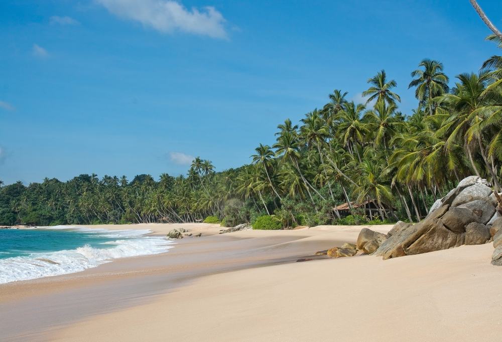 Best Deal - De Wonderen van Sri Lanka-333 Travel