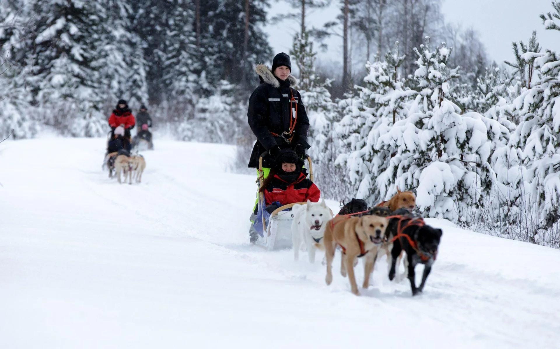 Winterreis Finland - Arctic Lakeland - Fox reizen