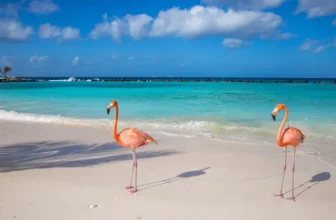 Cruise Curaçao & Caribische Parels