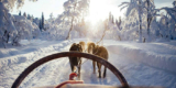 Winterreizen met Nordic: ontdek Lapland, Noorwegen en IJsland