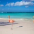 TUI Ticket Sale: vlieg deze winter voordelig naar de zon