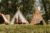 Comfortplaats met huisdier – Beerze Bulten